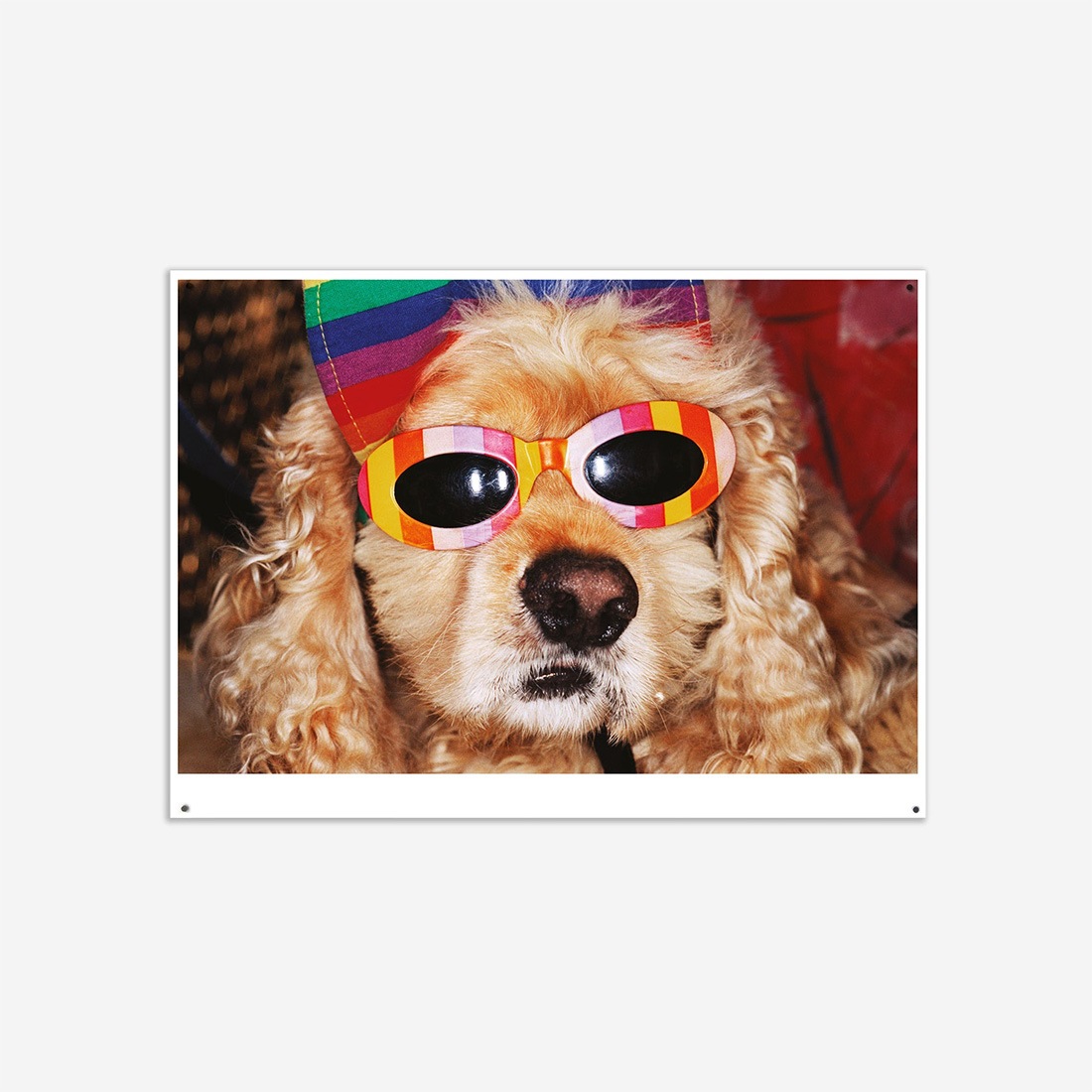 WRONGSHOP ���󥰥���å� Martin Parr �ޡ��ƥ��󡦥ѡ� Venice Beach �٥˥��ӡ��� �ݥ����� ������<br><br>�ѹ�ǺǤ�ͭ̾�ʼ̿��Ȥΰ�͡��ޡ��ƥ��󡦥ѡ��ˤ�뿷�����̿����꡼��