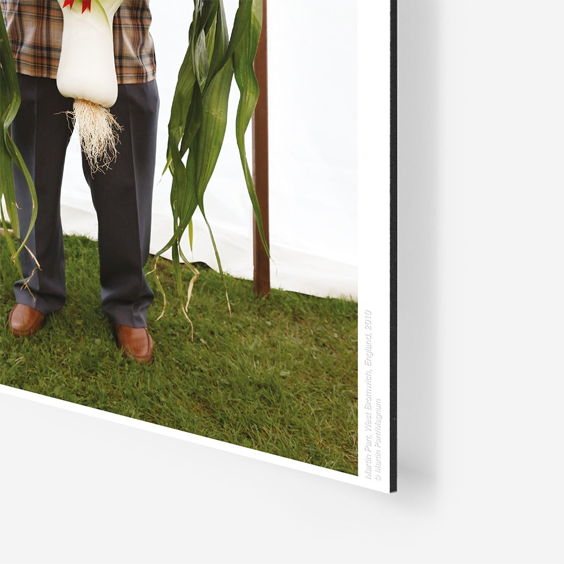 WRONGSHOP 󥰥å Martin Parr ޡƥ󡦥ѡ West Bromwich ȡ֥०å ݥ <br><br>ѹǺǤͭ̾ʼ̿Ȥΰ͡ޡƥ󡦥ѡˤ뿷̿꡼