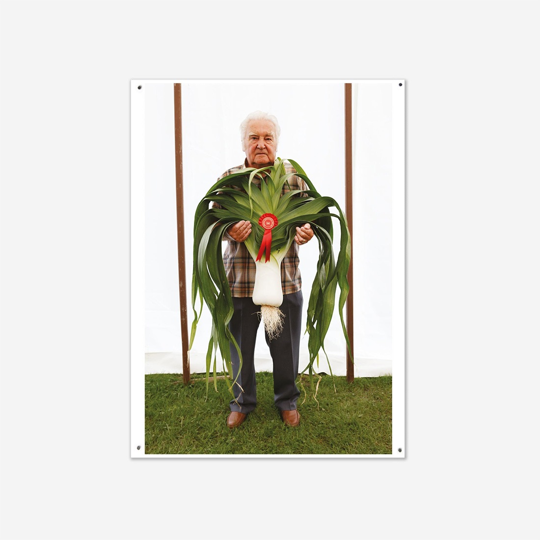 WRONGSHOP 󥰥å Martin Parr ޡƥ󡦥ѡ West Bromwich ȡ֥०å ݥ <br><br>ѹǺǤͭ̾ʼ̿Ȥΰ͡ޡƥ󡦥ѡˤ뿷̿꡼