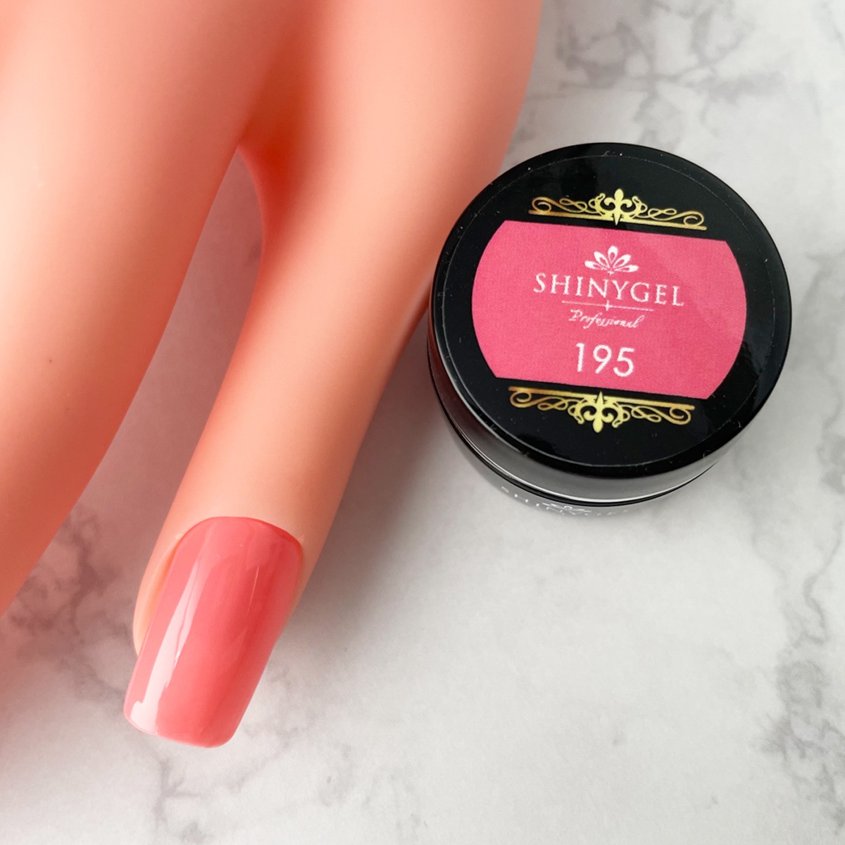 ネイル検定用品 楽天市場】◇JNECネイリスト技能検定 3級厳選35点セット 道具が