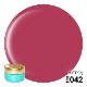 E042 スカッパノン 2gカラージェル[UV/LED対応○]