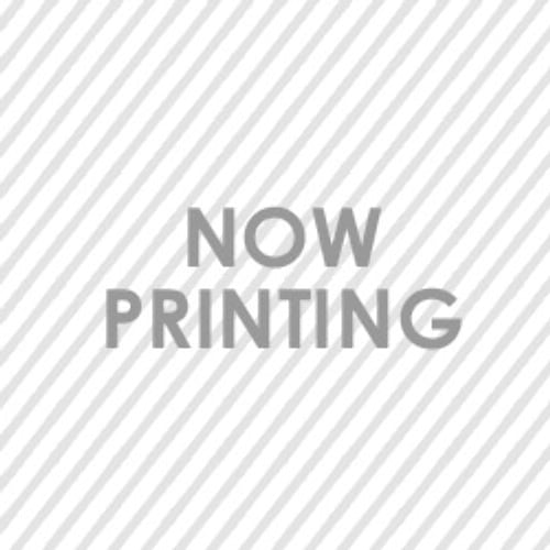 micro USB ケーブル （6W／5W／3W ポータブル専用） $