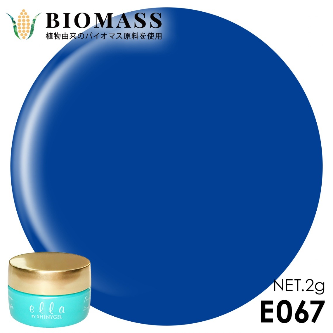 ella BY SHINYGEL Biomass Color Gel 2g ／ E067 Florida Blue