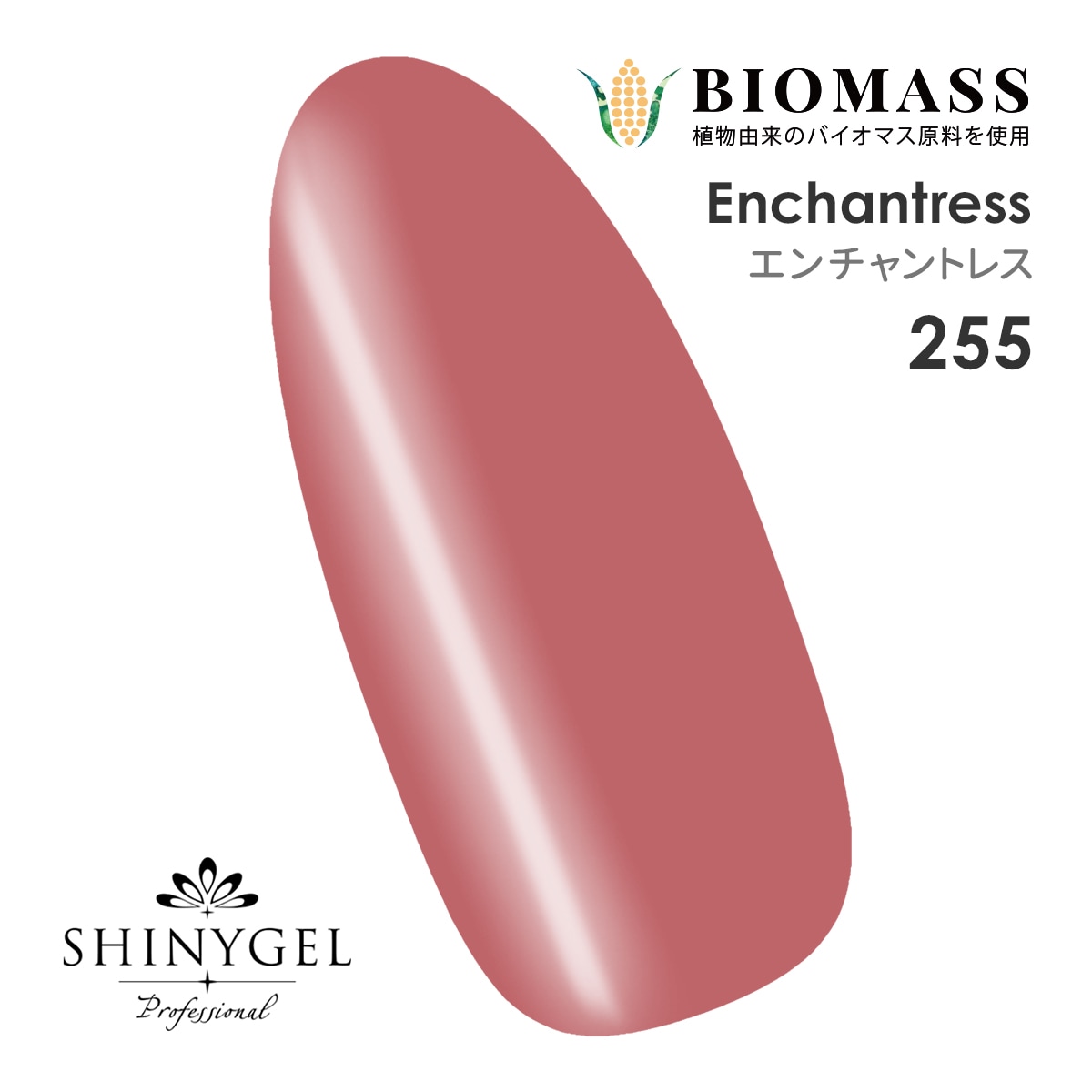 SHINYGEL Professional Color Gel 4g ／ Enchantress 255