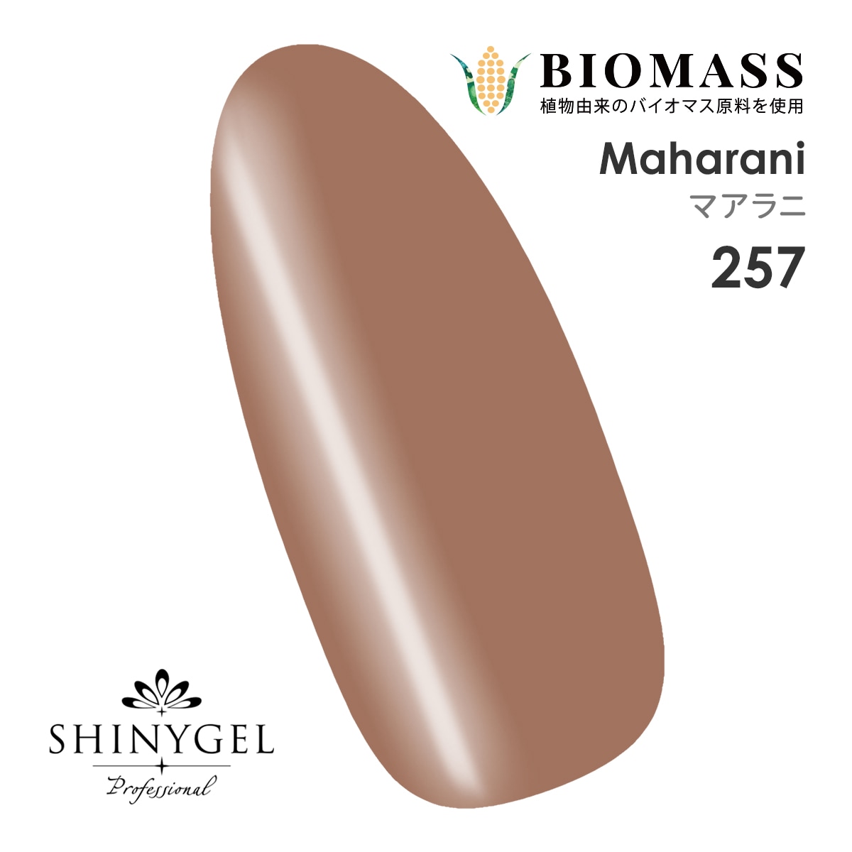 SHINYGEL Professional Color Gel 4g ／ Maraani 257