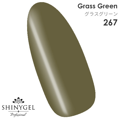 SHINYGEL Professional Color Gel 4g ／ Glass green 267