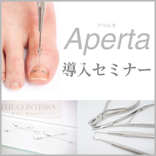Aperta（アペルタ）導入セミナー