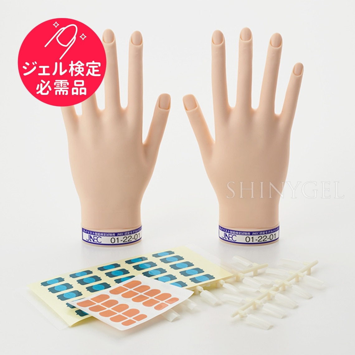 【取り寄せ】STモデルハンド セット（JNEC認定モデルハンド） $