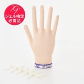 【取り寄せ】STモデルハンド 右手（JNEC認定モデルハンド） $