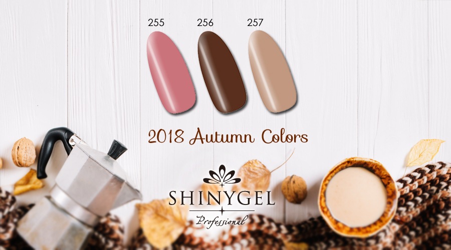 SHINYGEL Professional：バイオマスカラージェル 256／マルーン 4g （シャイニージェルプロフェッショナル）［UV／LED対応○］（JNA検定対応） $