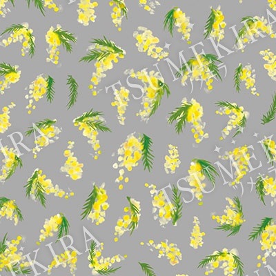 TSUMEKIRA（ツメキラ）：ネイルシール 平山愛 プロデュース ミモザガーデン／NN-HIR-002