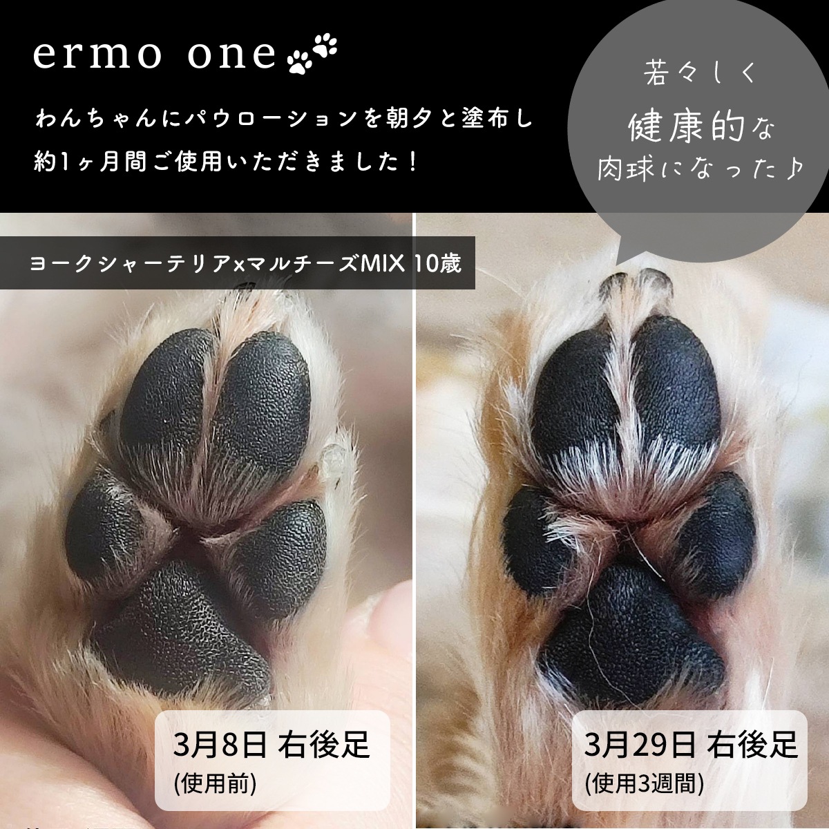 ermo one（エルモワン）：パウローション＜肉球保湿ローション＞ 80mL 犬用ローション 肉球保護 乾燥 ひび割れ ガサガサ肉球 サラッと快適 しっかり保湿