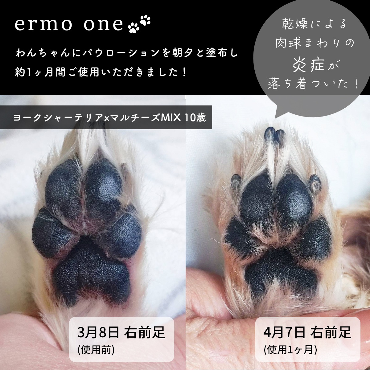 ermo one（エルモワン）：パウローション＜肉球保湿ローション＞ 80mL 犬用ローション 肉球保護 乾燥 ひび割れ ガサガサ肉球 サラッと快適 しっかり保湿