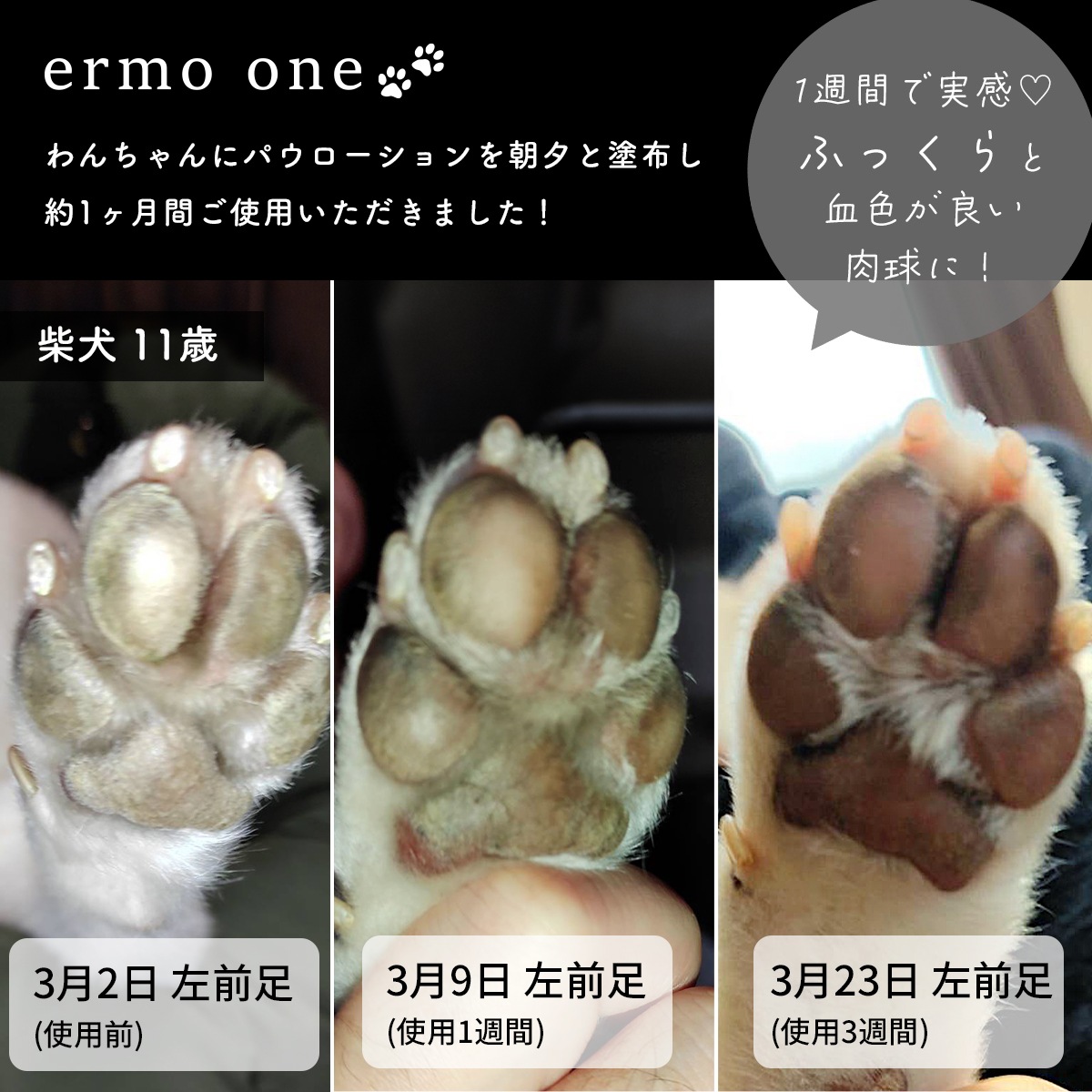 ermo one（エルモワン）：パウローション＜肉球保湿ローション＞ 80mL 犬用ローション 肉球保護 乾燥 ひび割れ ガサガサ肉球 サラッと快適 しっかり保湿