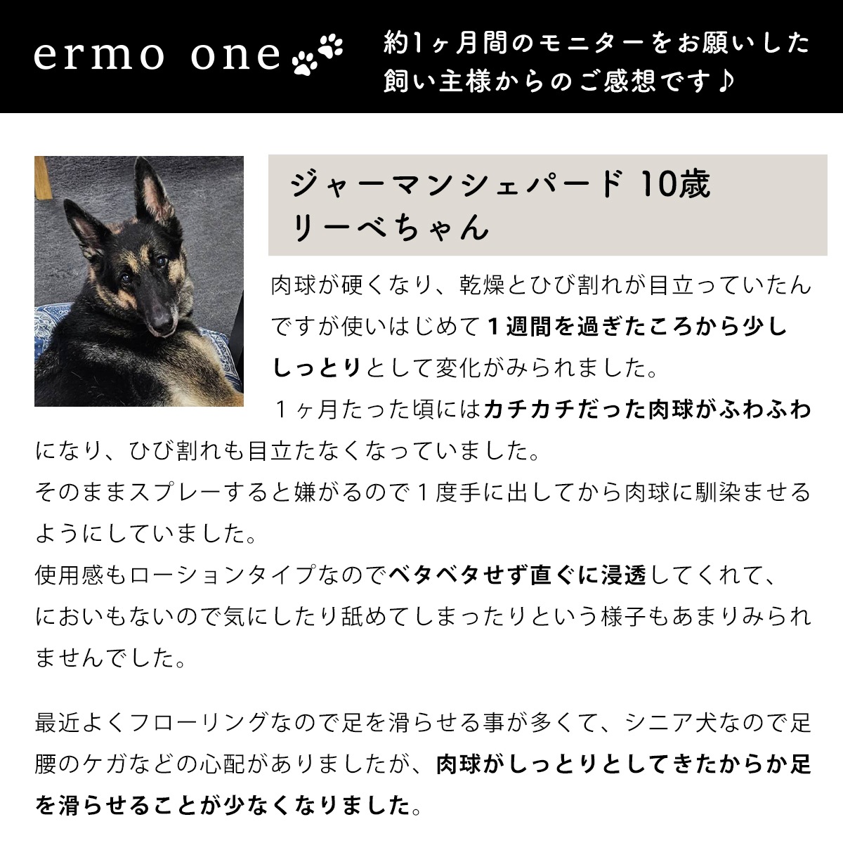 ermo one（エルモワン）：パウローション＜肉球保湿ローション＞ 80mL 犬用ローション 肉球保護 乾燥 ひび割れ ガサガサ肉球 サラッと快適 しっかり保湿