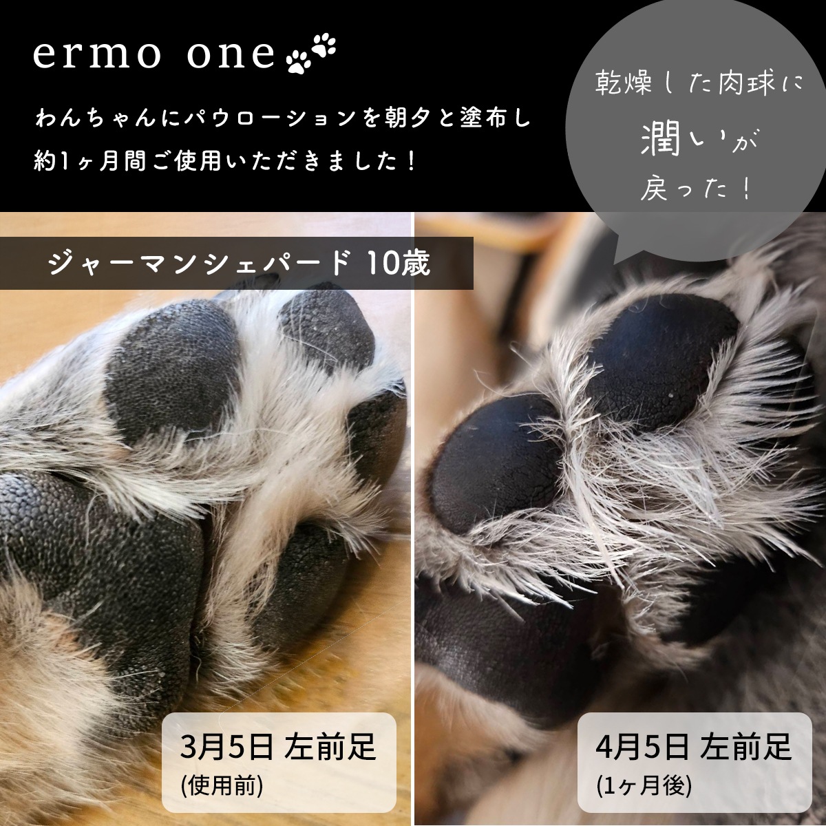 ermo one（エルモワン）：パウローション＜肉球保湿ローション＞ 80mL 犬用ローション 肉球保護 乾燥 ひび割れ ガサガサ肉球 サラッと快適 しっかり保湿