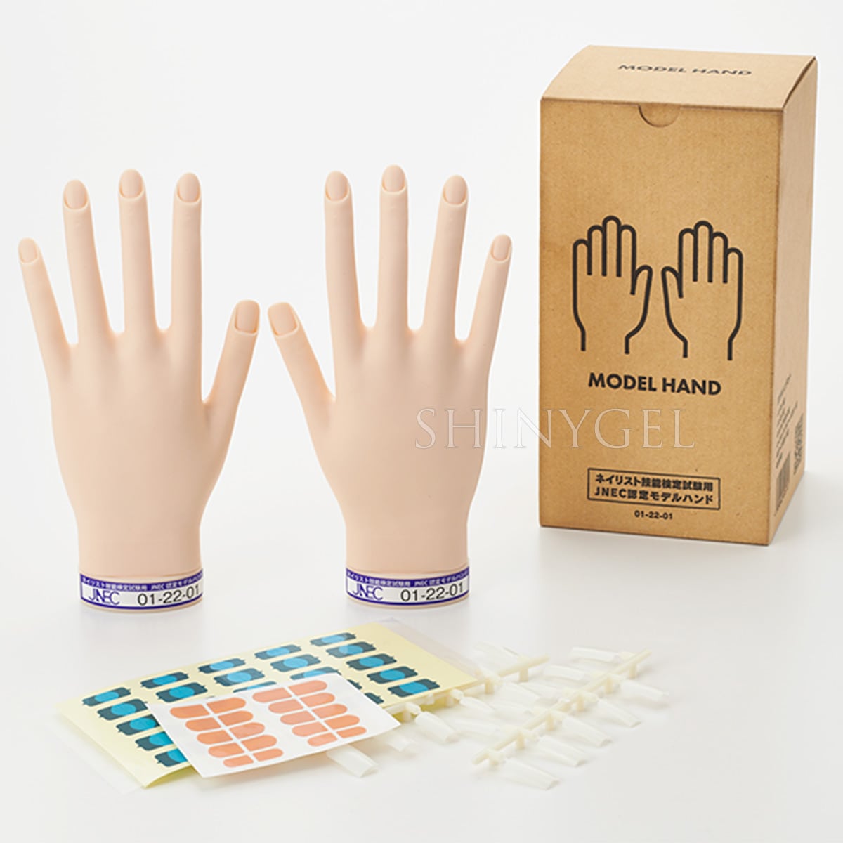【取り寄せ】STモデルハンド セット(JNEC認定モデルハンド) $