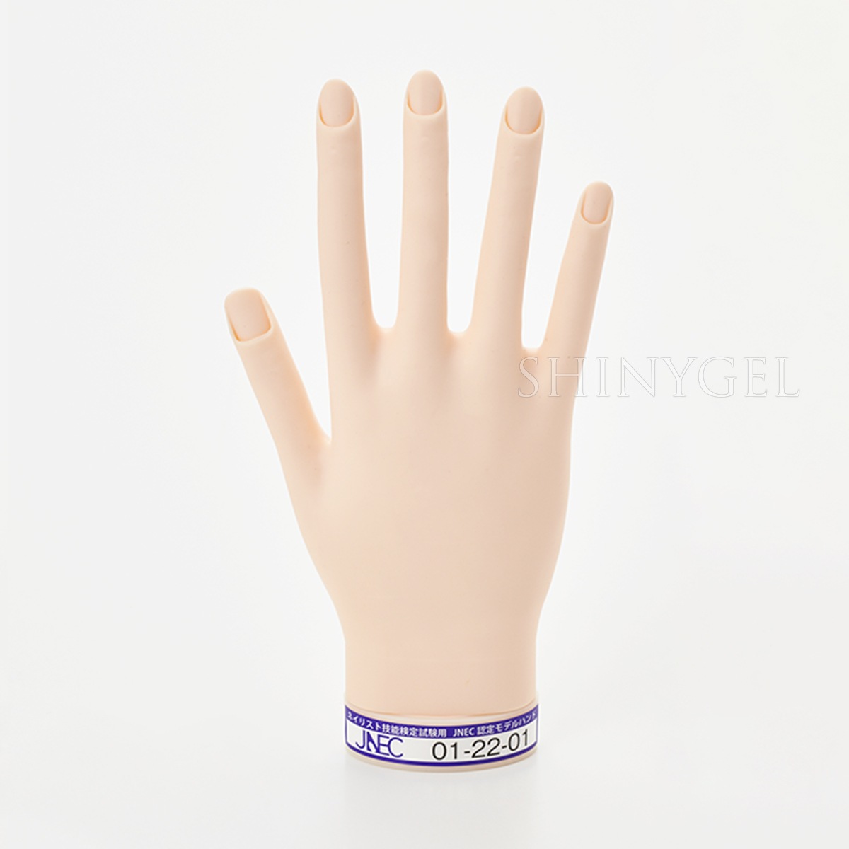 【取り寄せ】STモデルハンド 右手(JNEC認定モデルハンド) $