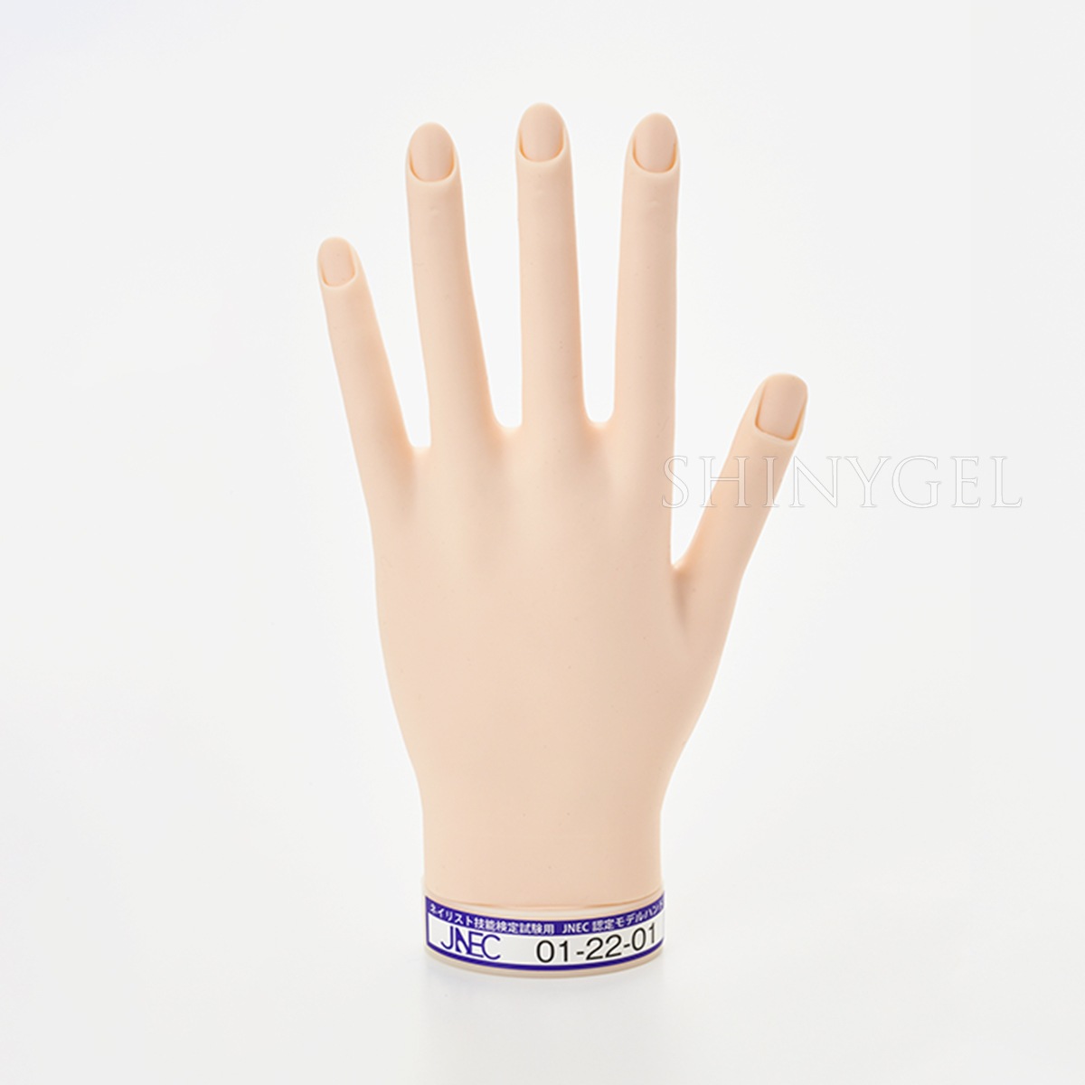 【取り寄せ】STモデルハンド 左手（JNEC認定モデルハンド） $