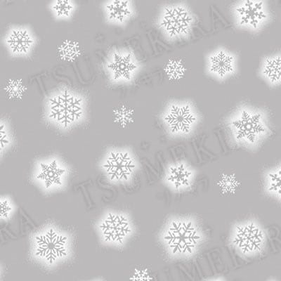 TSUMEKIRA(ツメキラ):ネイルシール エアリースノー2/NN-YUK-016