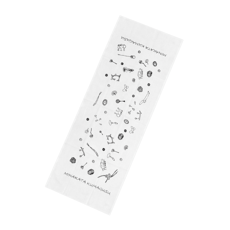 南方熊楠　粘菌てぬぐい