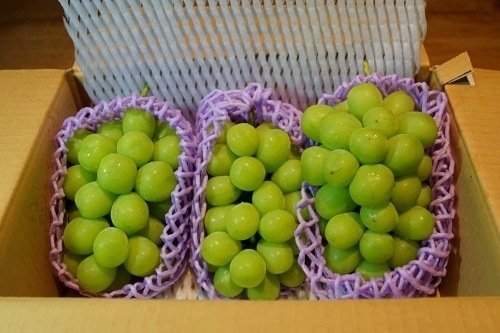 ������7ǯ���Ͻ�λ���ޤ������������व��Υ��㥤��ޥ����åȡ���2kg