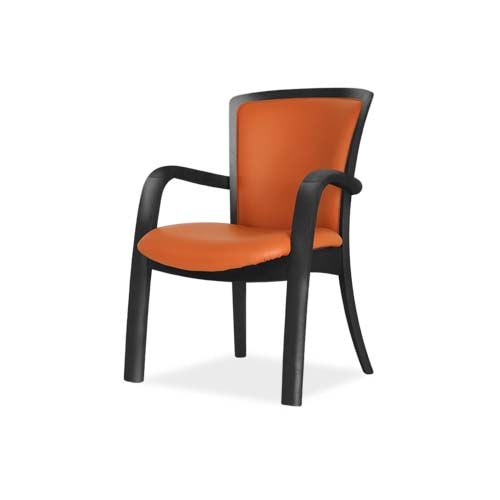 RENOIR(ルノアール) アームチェア | RENOIR チェア | 【公式】飛騨の