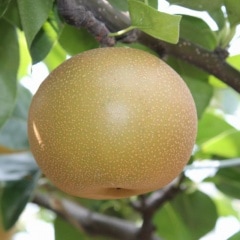 ��������˭�塡�ڣ���硿���������꡿���̡�