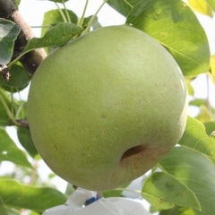 �������������ꡡ�ڣ���硿���̡����������