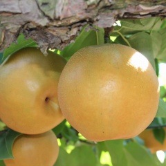 �����������⡡�ڣ���硿���������