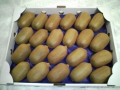 �����������С��ڣ���硿�����������������