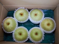 �����ꡡ�ڣ���硿�櫓�����ʡ��������������