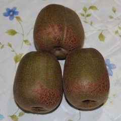 ���ޡ��ڣ���硿�櫓���꡿�����������������