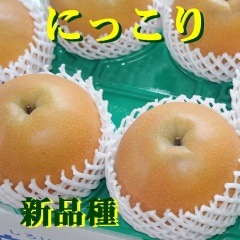 ���������ˤä��ꡡ�ڣ���硿�������������