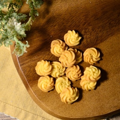 【Wagわん】《自家製》サーモンくっきー