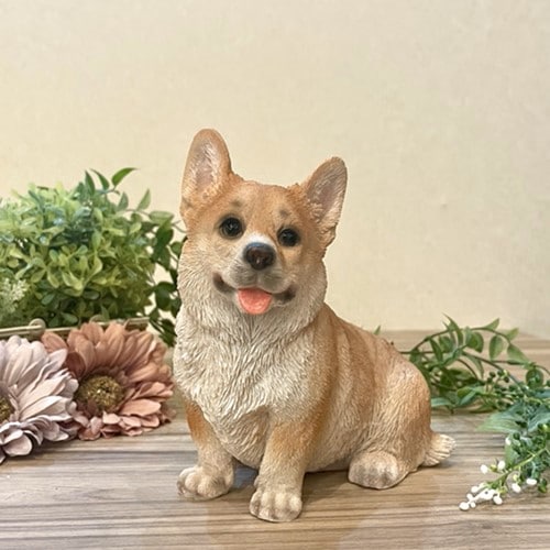 コーギー