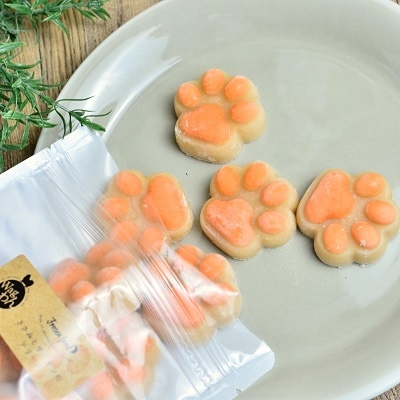 【Wagわん】自家製　ささみとサーモンのテリーヌ 10個セット