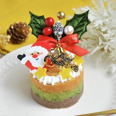 【Wagわん】犬猫用クリスマスケーキ ≪自家製≫