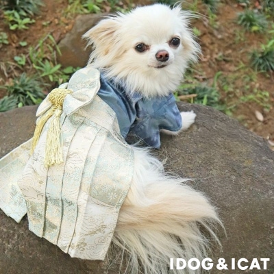 【IDOG】縁起物袴 刀おもちゃ付き 宝船×鯉流水