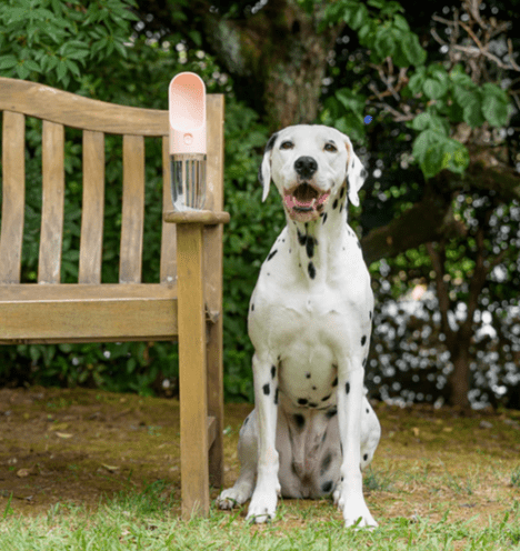【FAD】ワンタッチ・浄水ボトル