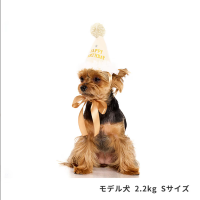 プレシャスバースデーハット 　アイボリー　S