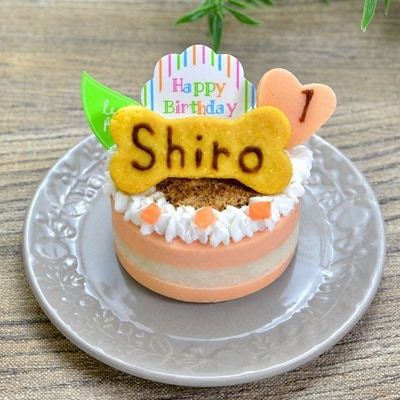 【お名前・年齢入り】猫用　サーモンケーキ【Wagわん】