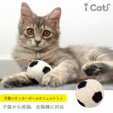 コロコロフェルトTOY サッカーボール