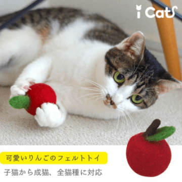 コロコロフェルトTOY りんご 