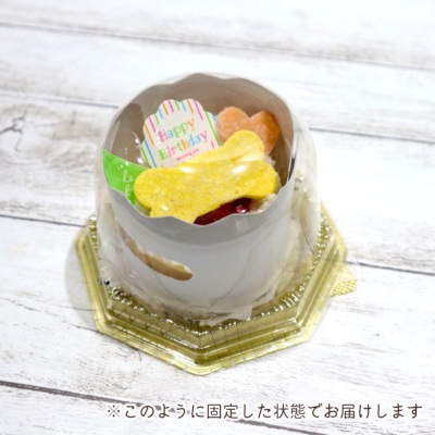 【お名前・年齢入り】猫用 サーモンケーキ【Wagわん】
