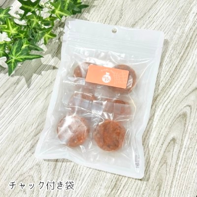 【Wagわん】温活スープ冷凍　鮭 6個入り《自家製》