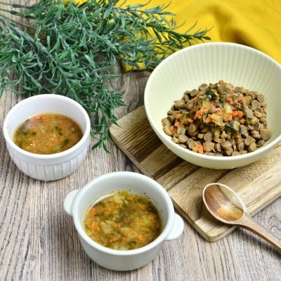 【Wagわん】温活スープ冷凍　鮭 6個入り《自家製》