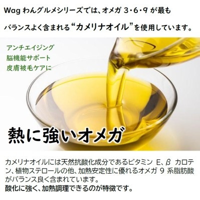 Wagわんごはん【チキン】自然素材だけを使った総合栄養食