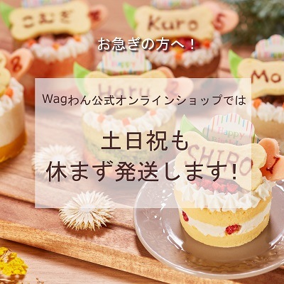 【Wagわん】自家製 野菜＆スイートポテトケーキ