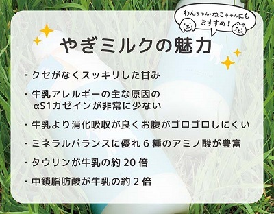 【プティ・シェーヴル】北海道産やぎミルク 150ml　10本セット